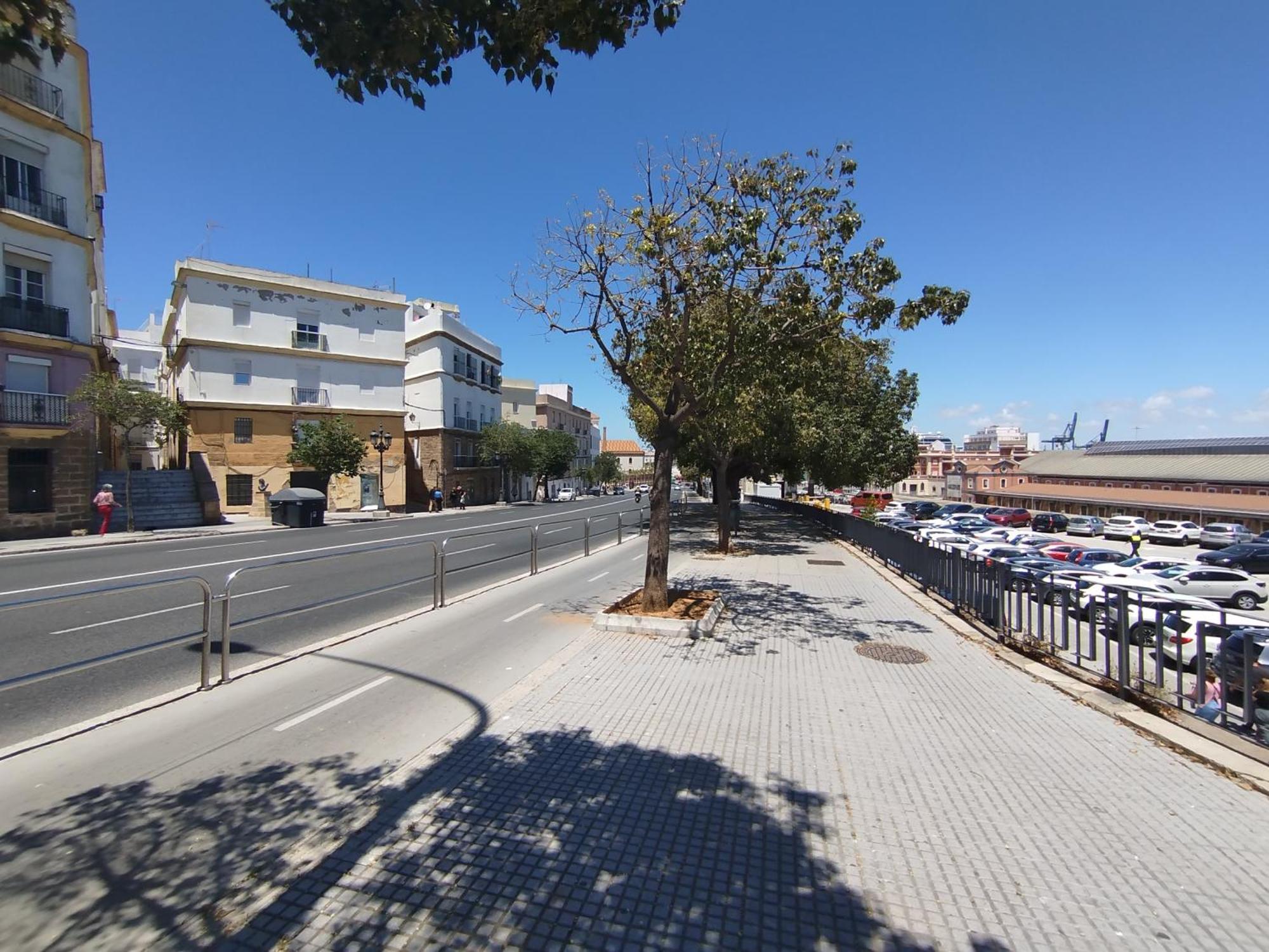 Apartament Cadiz Centro Goleta Loft By C.Dreams Zewnętrze zdjęcie
